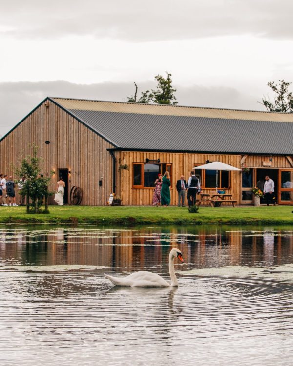modern wooden barn set beyond a lake with swans swimming across it